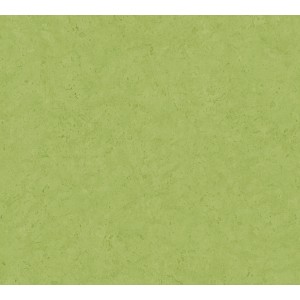 Grüne Uni Vliestapete der Serie Metropolitan Stories II, FSC®-zertifiziert.