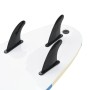 vidaXL Surfbrett 170 cm Stern-Design 91689_7