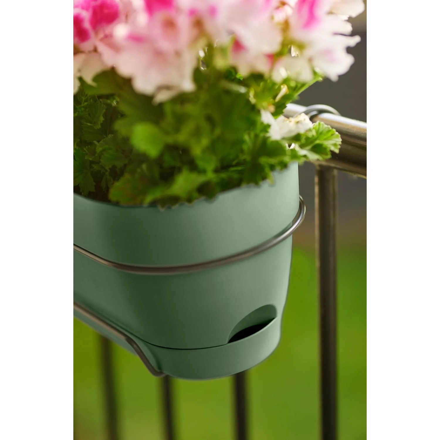 Grüner Elho Balkonkasten Vibia Campana 50 cm mit Blumen am Balkongeländer.