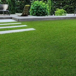 Sattgrüner Karat Kunstrasen Marbella 26mm im Garten mit Steinplattenweg.