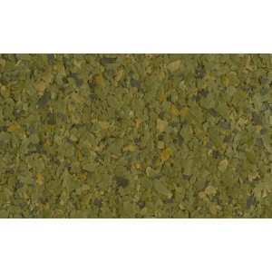 Tetra Phyll Flockenfutter, Detailaufnahme der grünen und braunen Flocken.