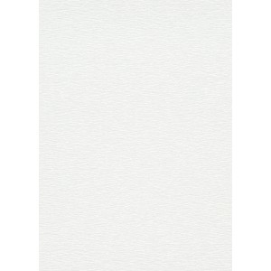 Erismann Vliestapete Collage Weave in Creme mit feiner, horizontaler Struktur.