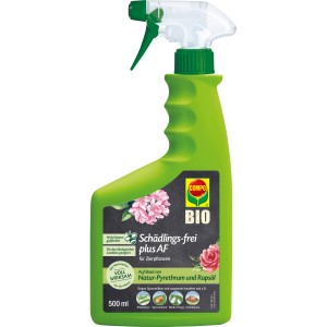 Compo Schädlingsfrei Plus AF 500ml: Sprühflasche zur Bekämpfung von Blattläusen und Schädlingen an Zierpflanzen.