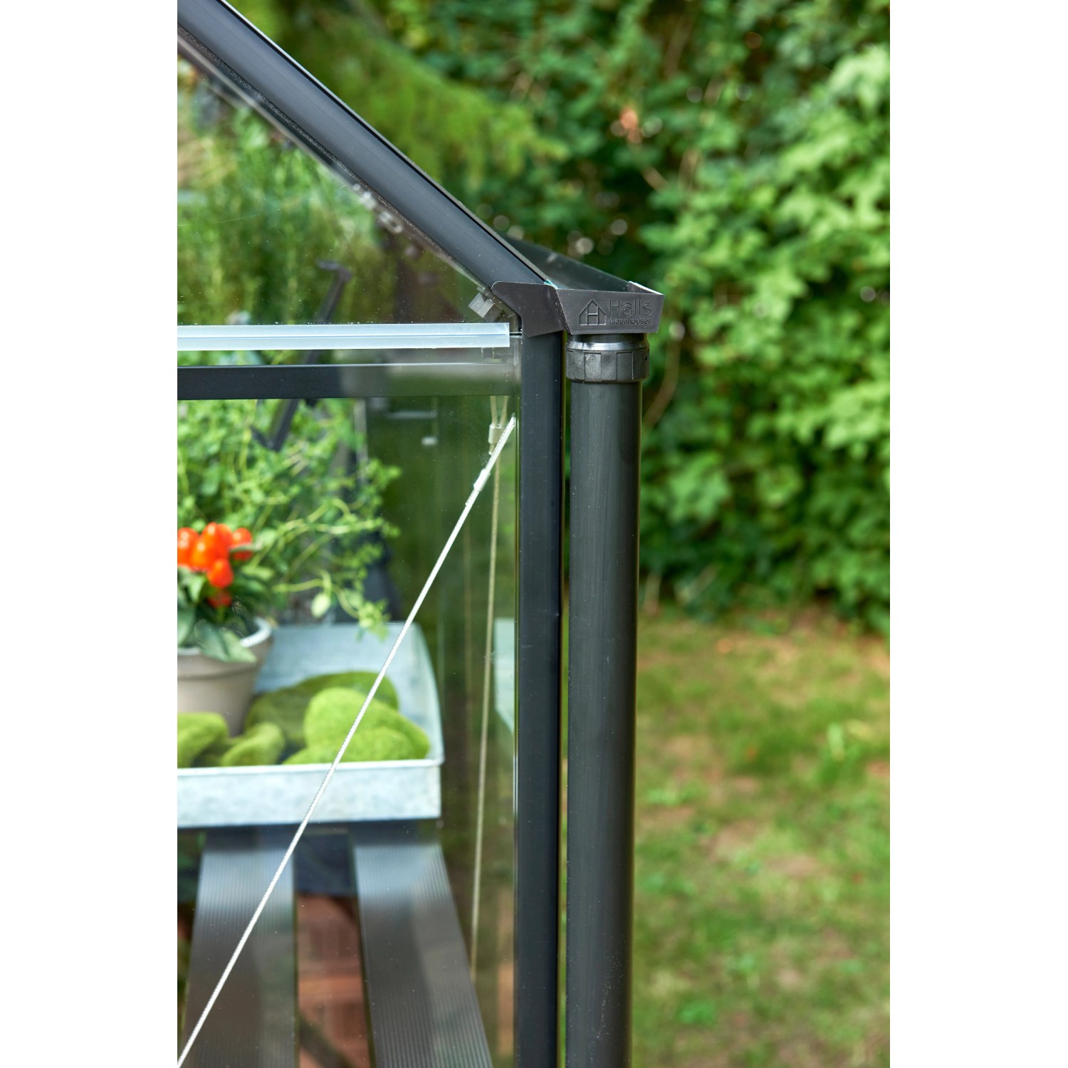 Halls Fallrohr (130cm) am Qube Gewächshaus, Detailaufnahme der Regenwasserableitung.