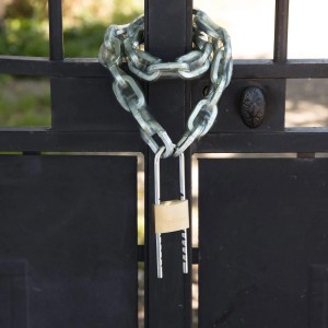 Messingfarbenes Master Lock Vorhängeschloss 1950EURD mit verstellbarem Bügel an einem schwarzen Metalltor mit Kette.
