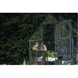 Halls Gewächshaus Icon 6, grünes Gartenhaus mit Pflanzen und Dekoration.