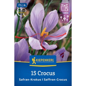 Lila Safrankrokusblüte mit roten Fäden auf Kiepenkerl Blumenzwiebel-Packung, 15 Stück.