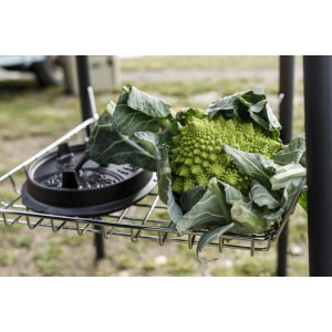 Petromax Ablagekorb 40 cm mit Feuertopf-Deckel und Gemüse auf einem Grilltisch.