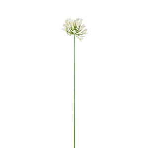 Detailgetreue, weiße Agapanthus Kunstpflanze (75 cm) von Mica Decorations für eine elegante Deko.