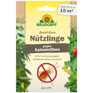 Neudorff Bestell-Karte Nützlinge gegen Spinnmilben für bis zu 10 m².