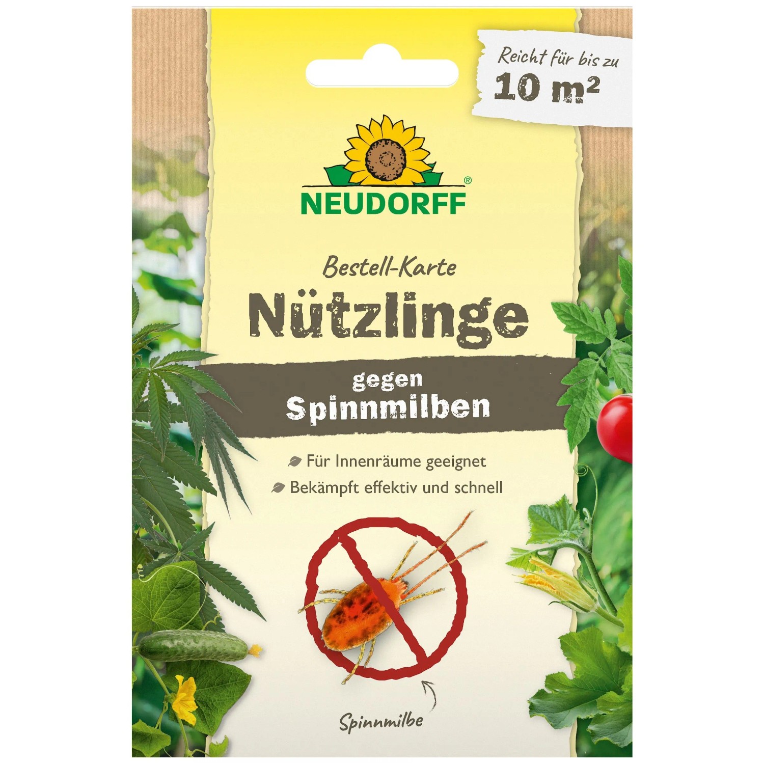 Neudorff Bestell-Karte Nützlinge Gegen Spinnmilben 10 m²
