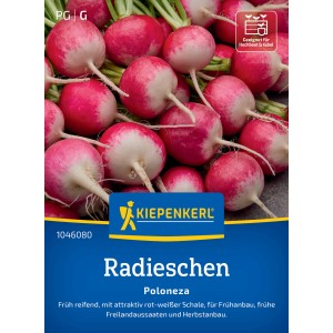 Kiepenkerl Radieschen Poloneza Samen mit rot-weißen Knollen.