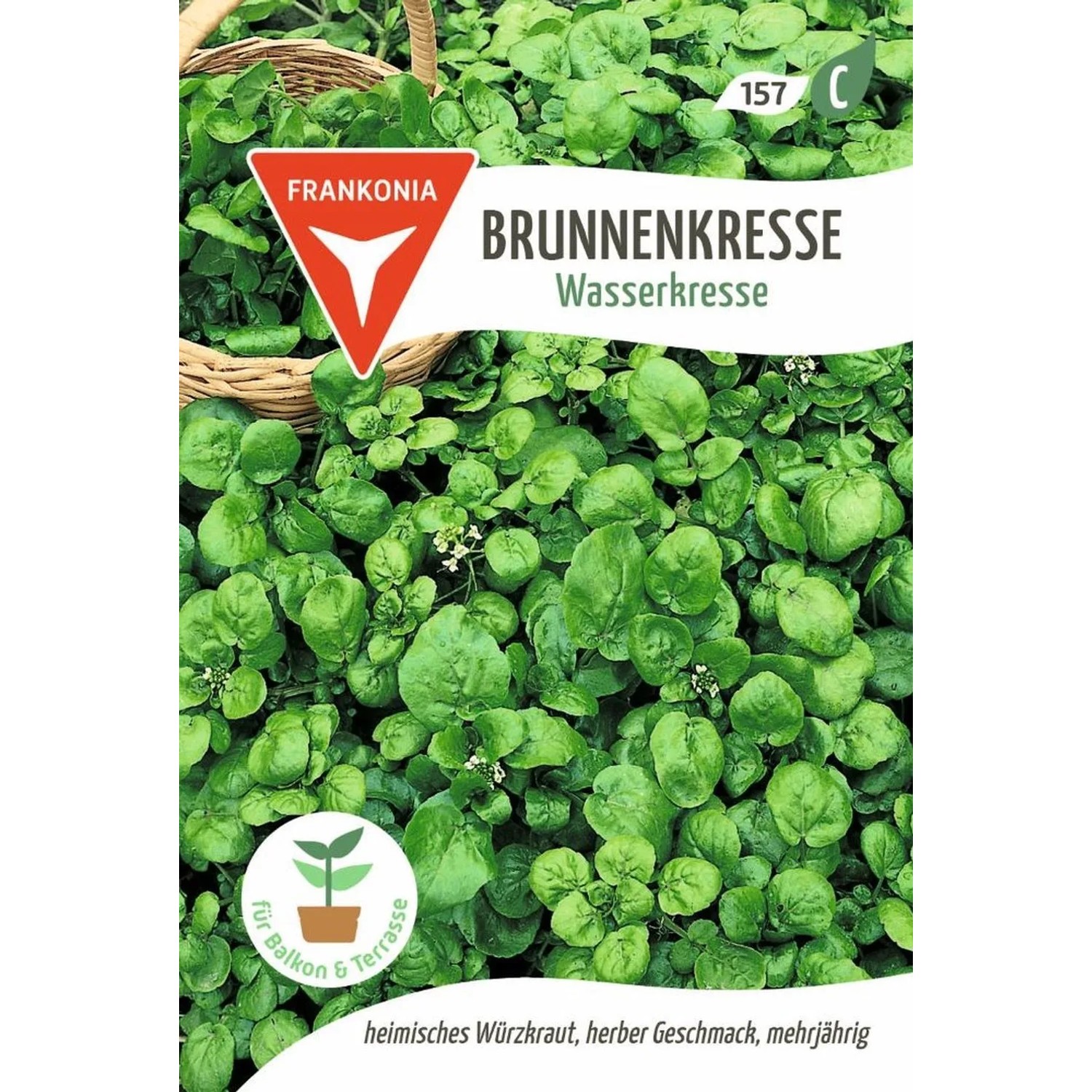 FRANKONIA Brunnenkresse Wasserkresse