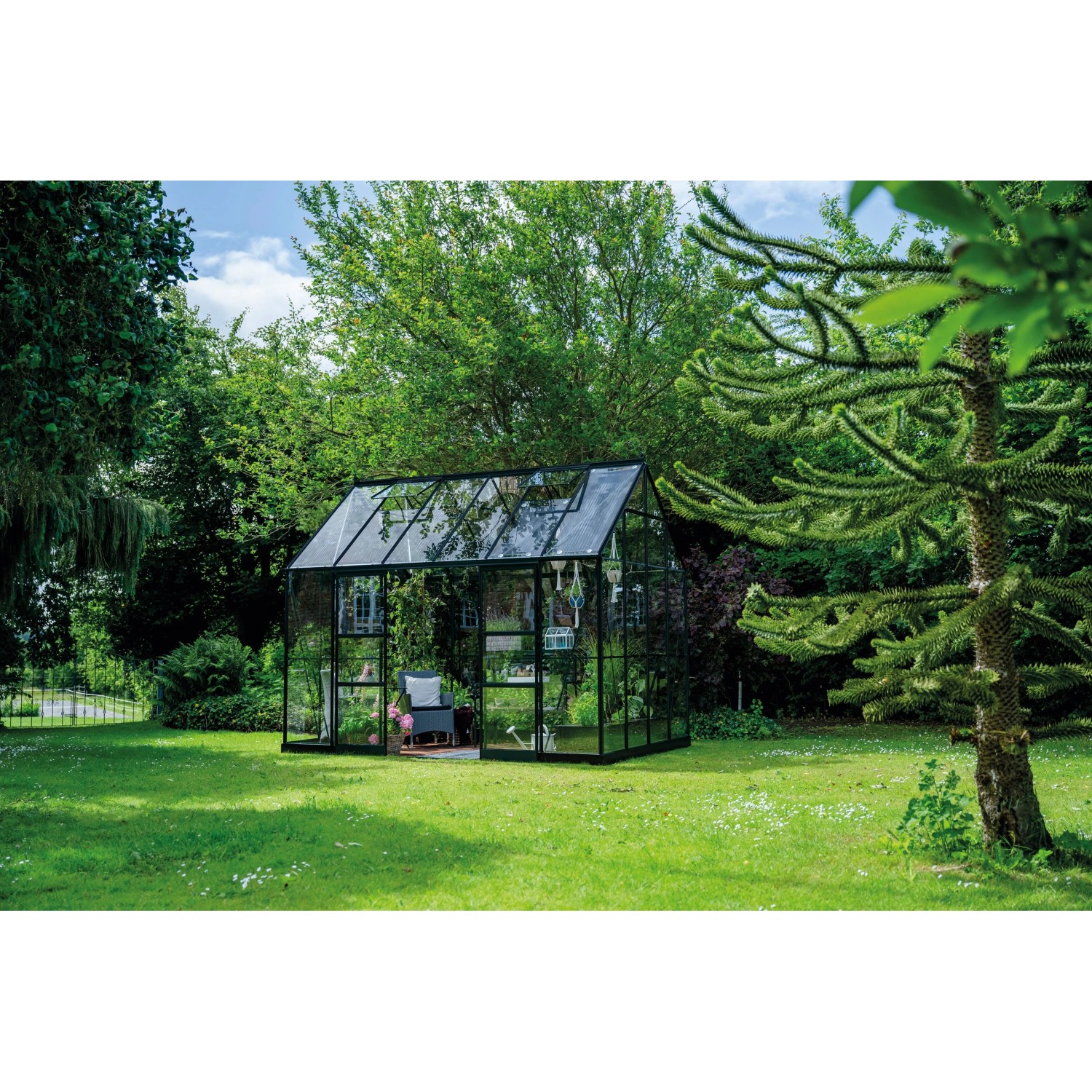 Halls Gewächshaus Icon Planthouse 8 Schwarz 9,7 m² günstig online kaufen