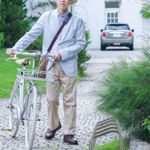 Relaxdays Fahrradständer Stahl Silber für 5 Fahrräder 26 cm x 136 cm x 33,5 cm 5,9 kg