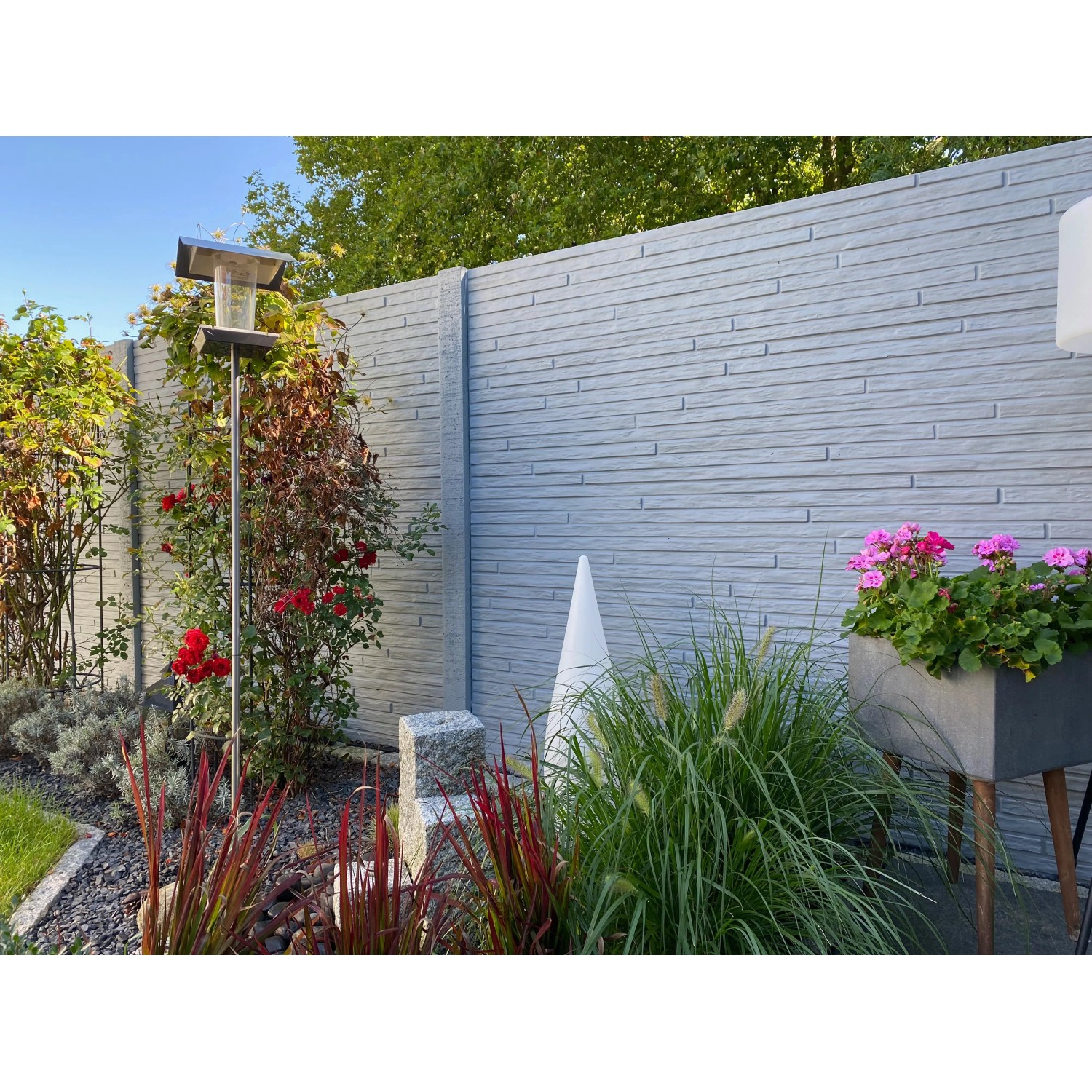 Graue Betonzaun-Platte Toscana (200x38,5x3 cm) als Sichtschutz im Garten.