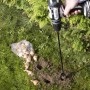 Westfalia Pflanzbohrer-Set im Einsatz: Löcher bohren für Blumenzwiebeln im Garten.