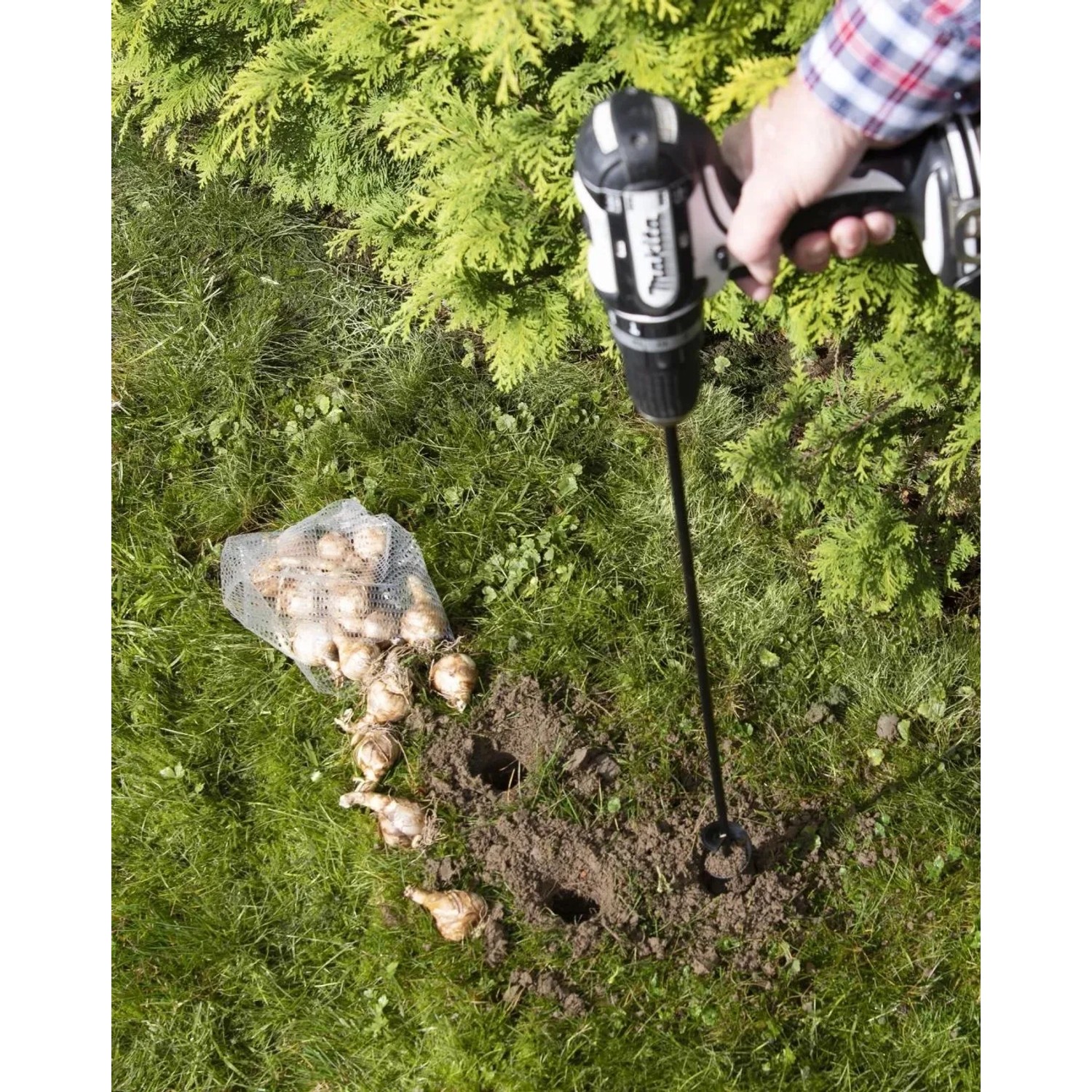 Westfalia Pflanzbohrer-Set im Einsatz: Löcher bohren für Blumenzwiebeln im Garten.