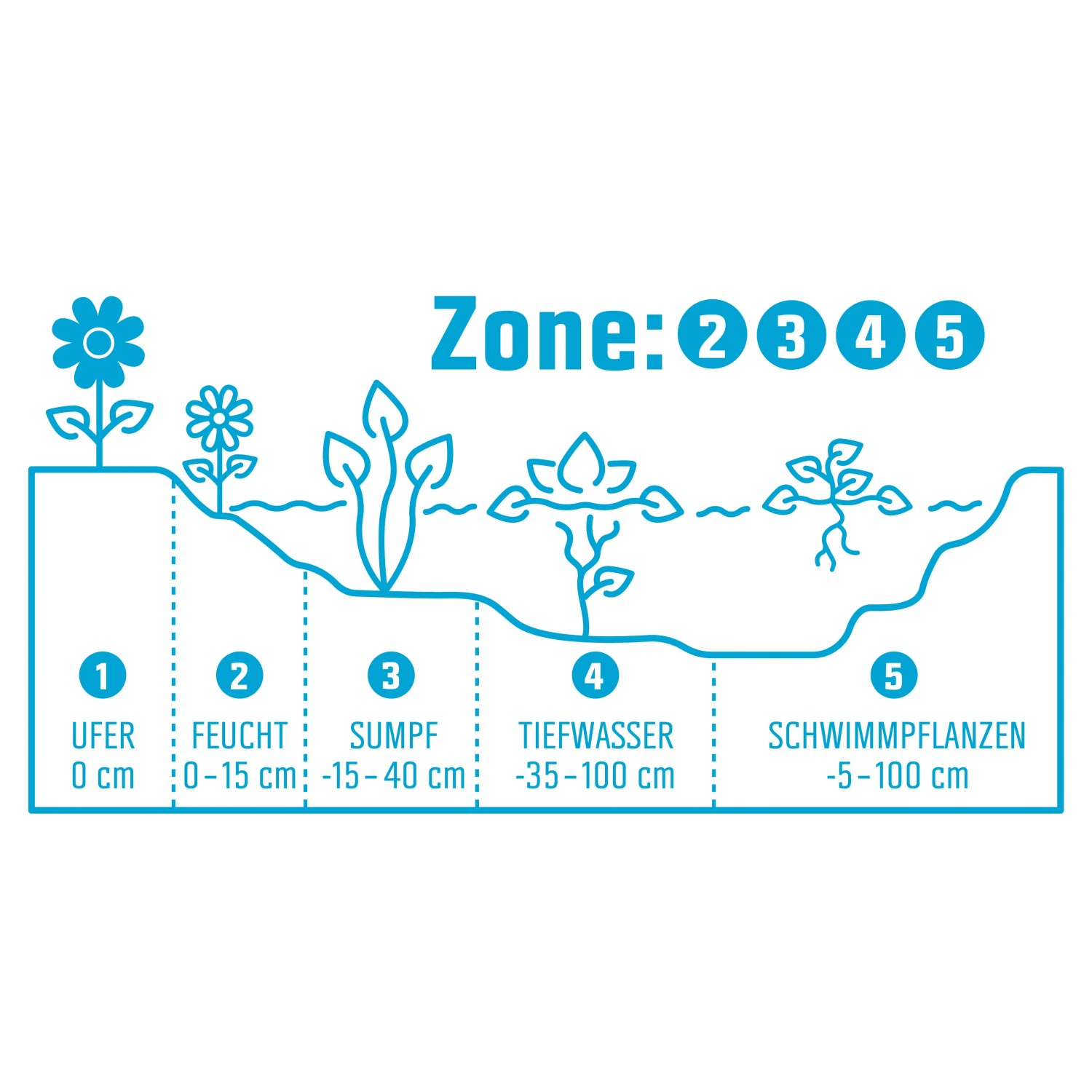 Grafik: Teichzonen für Ufer-, Feucht-, Sumpf-, Tiefwasser- und Schwimmpflanzen.