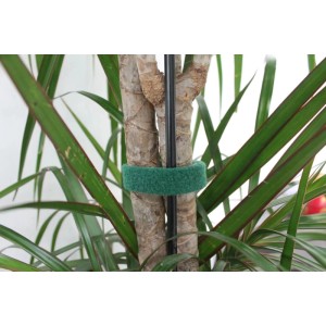 Westfalia Pflanzenbinder Klettband 5 m X 1,6 cm