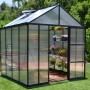 Palram Canopia Glory Gewächshaus, 2.4x2.5 m, Anthrazit, mit Regalen und Pflanzen.