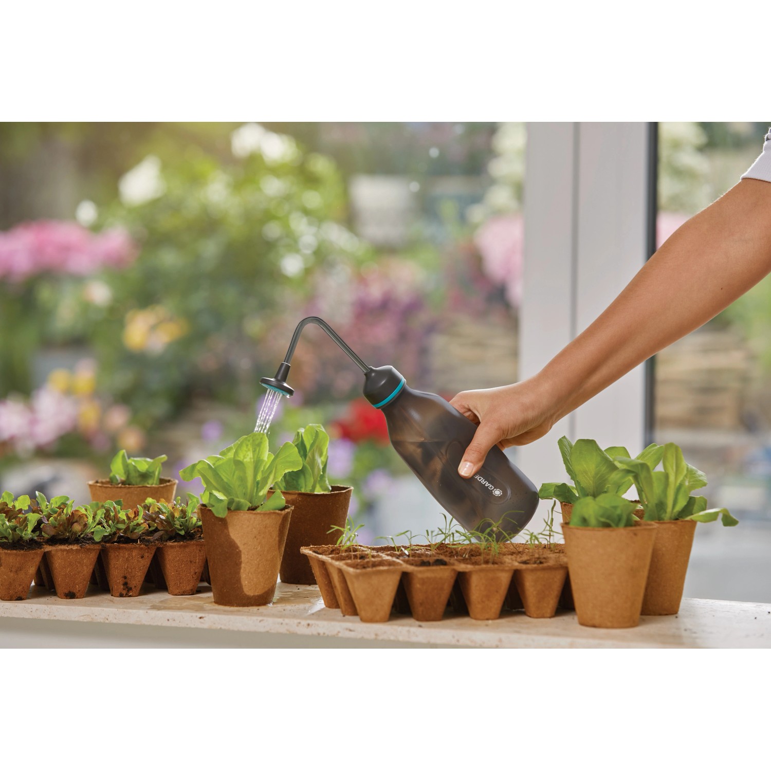 Gardena Soft-Drucksprüher 0,45 l beim Bewässern von Setzlingen.