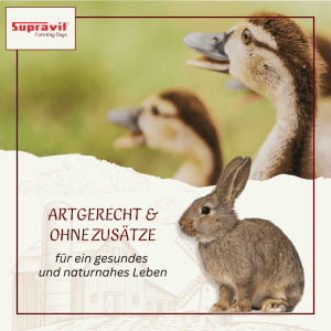 Supravit Futterweizen Geflügelfutter