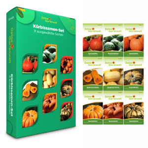 Deine Gartenwelt Kürbis Samen-Set mit 9 Sorten: Grüne Box und 9 einzelne Samenpäckchen mit verschiedenen Kürbissen.