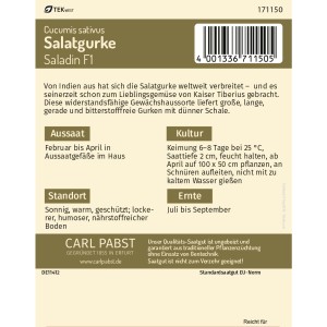 Saatgutpackung Pabst Keimkraft Salatgurke Saladin F1, Gemüsesamen für ca. 5 Pflanzen.