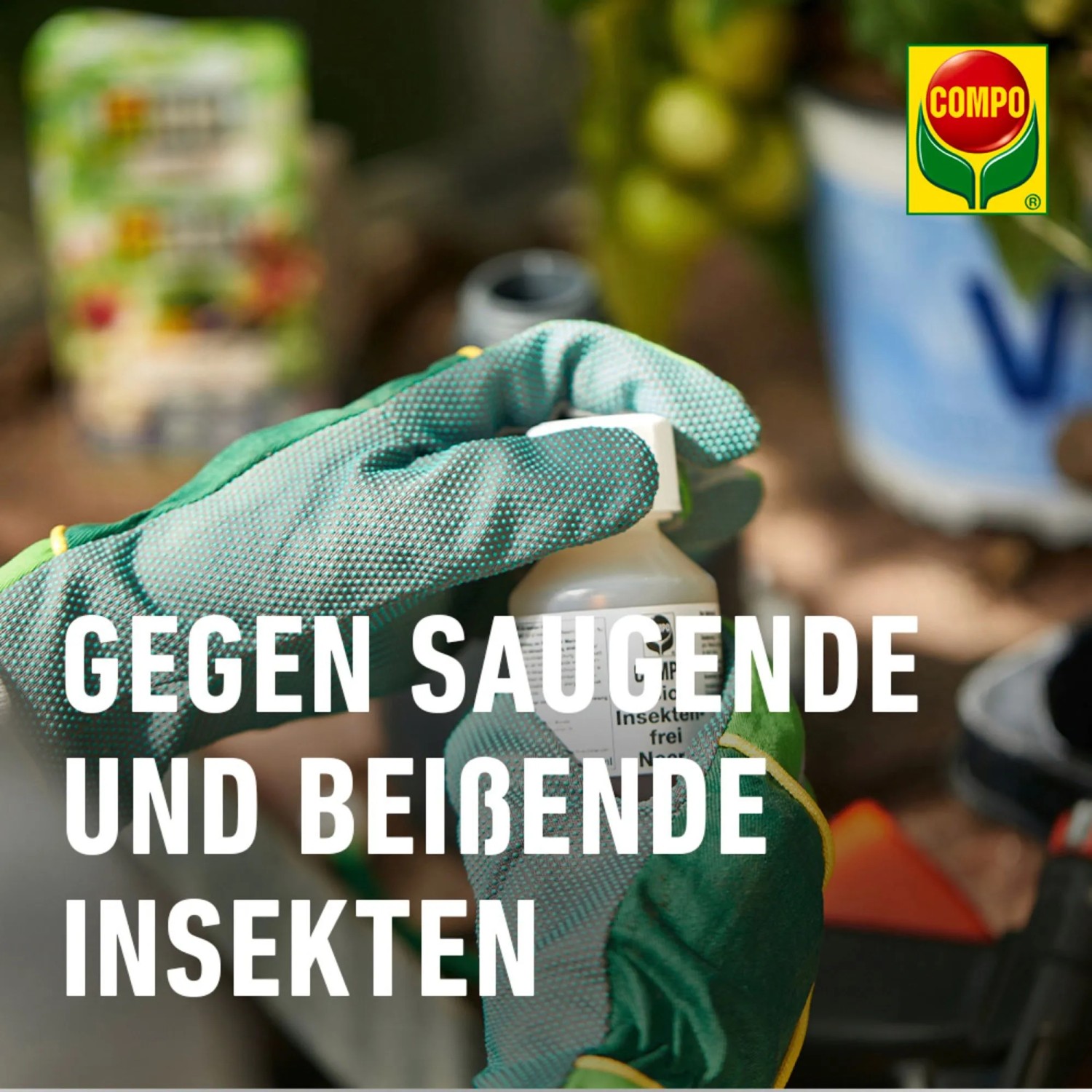 saatgut souveränität Saatgut Geschenk-Set kaufen main image 1