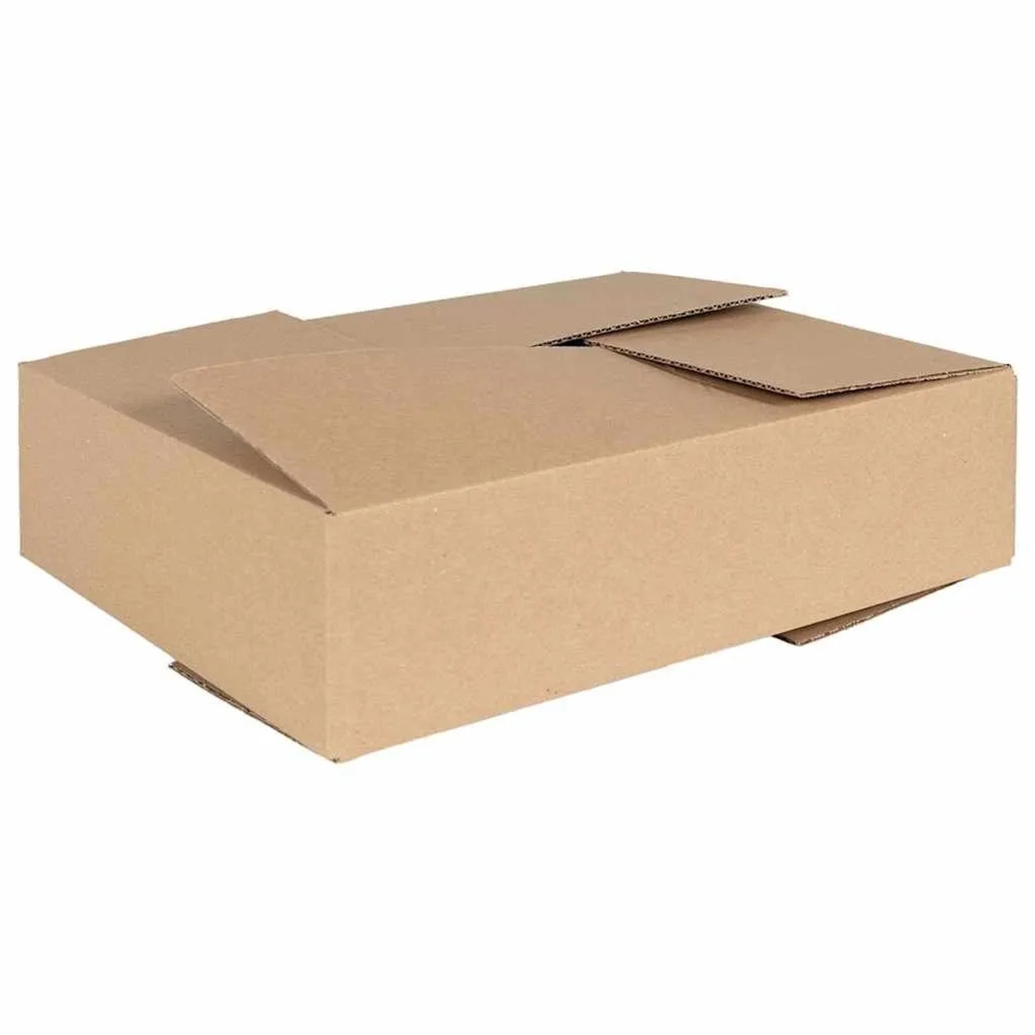 vidaXL Faltbox mit Speicher 50 Stk Natur 40 x 30 x 10 cm Karton 4106570