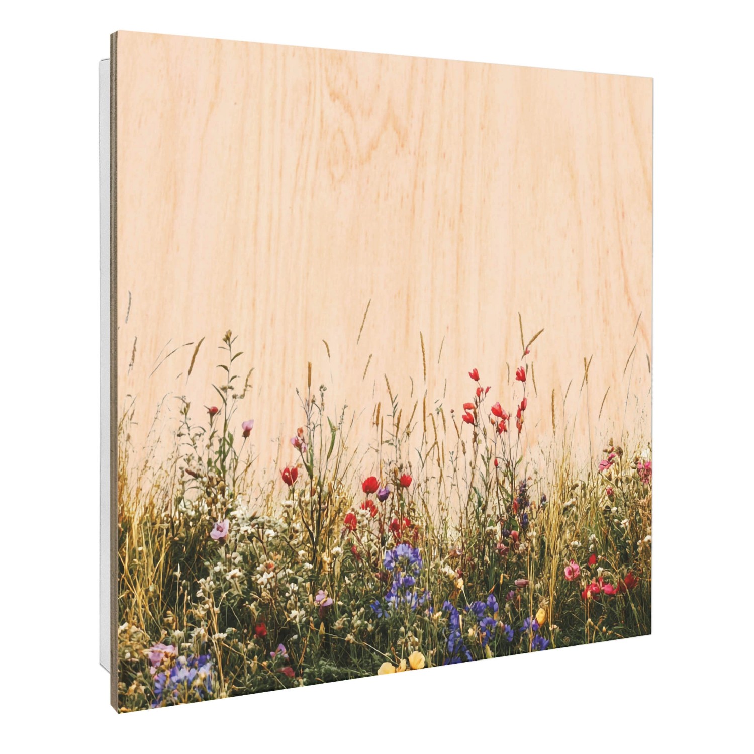 Banjado Großer Schlüsselbox Holz 30x30cm Weiß Scharnier Rechts 50 Haken Sch günstig online kaufen