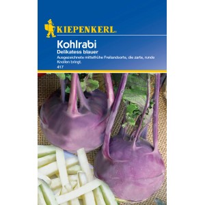 Kiepenkerl Kohlrabi Delikatess Blauer, mittelfrühe Sorte mit runden, zarten Knollen.