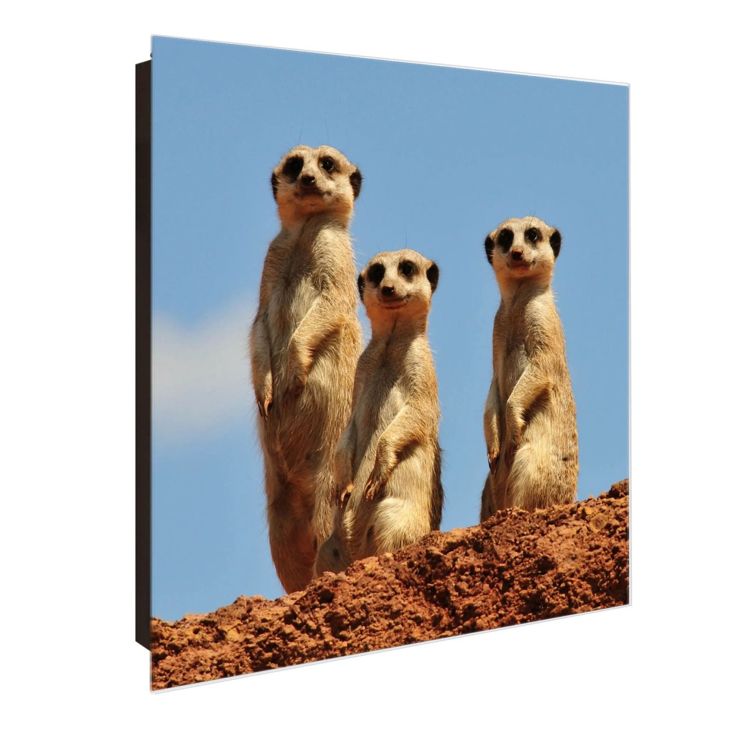 Banjado Großer Schlüsselkasten Glas 30x30cm Schwarz Scharnier Links 50 Hake günstig online kaufen