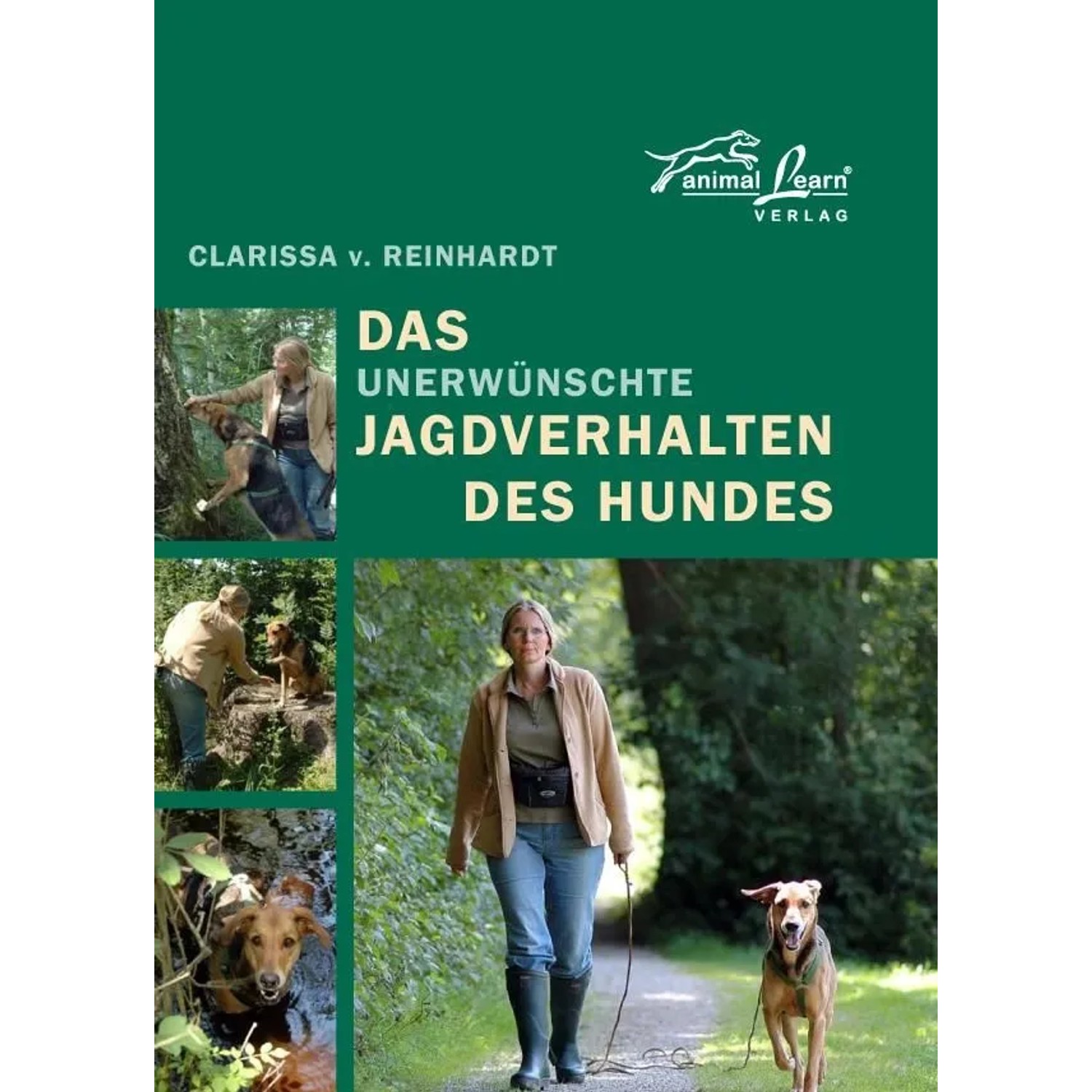 Image of Das unerwünschte Jagdverhalten des Hundes