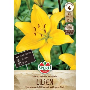 Sperli Blumenzwiebeln Lilie Val di Sole