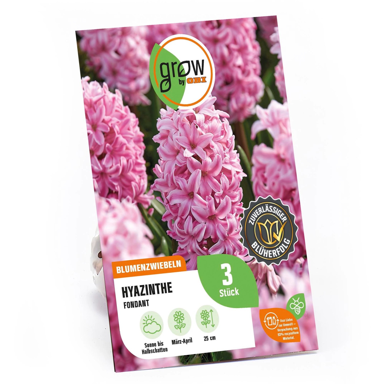 GROW by OBI Hyazinthe Fondant Rosa 3 Stück Hyacinthus orientalis Fondant günstig online kaufen
