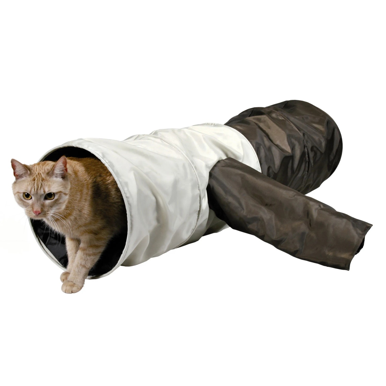 Katze im Trixie Spieltunnel aus Polyester, ø 30 cm x 115 cm, mit vier Eingängen.