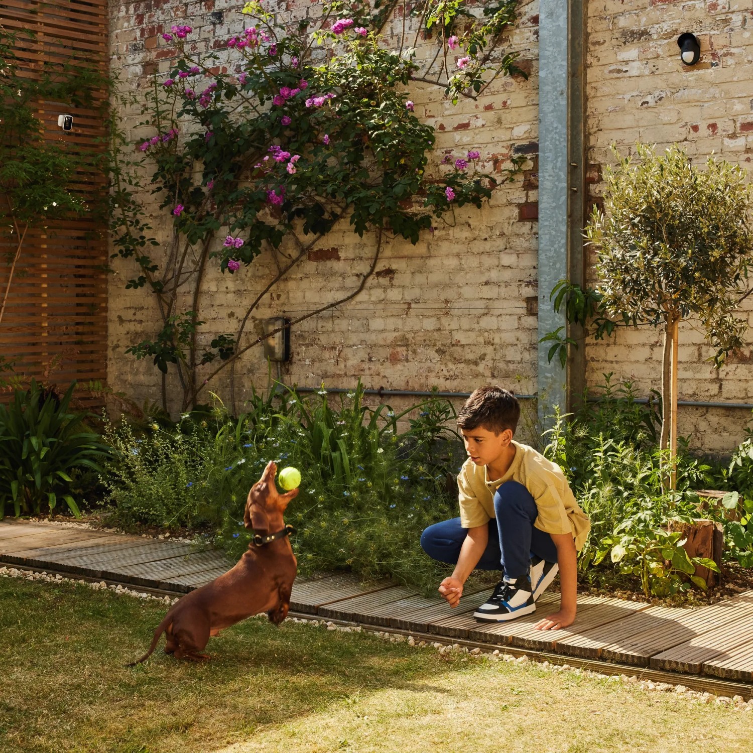 Yale Bewegungsmelder Smart Alarm im Garten mit Kind und Dackel beim Ballspiel.