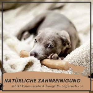 Supravit Kaffeeholz Kauknochen Größe XS Kauspielzeug für Hunde