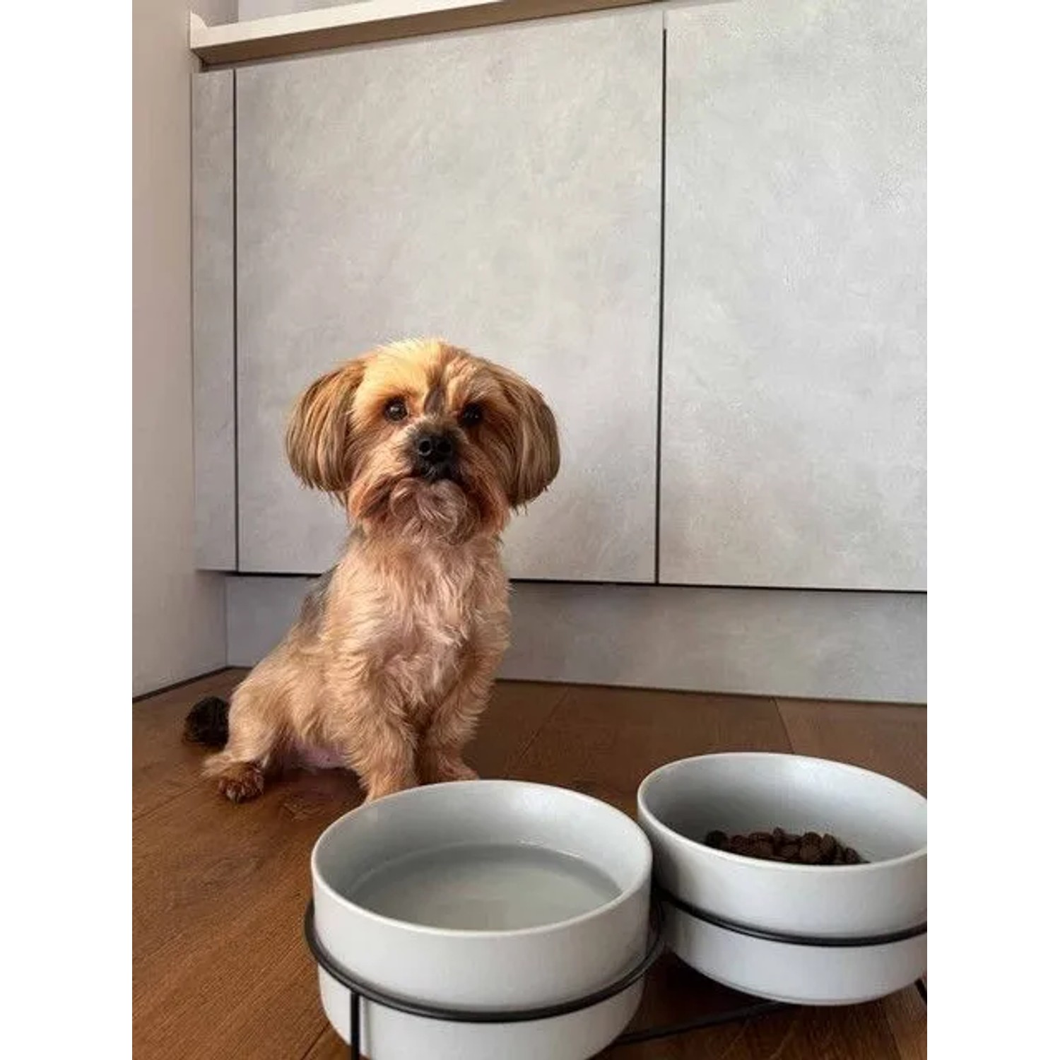Ritzenhoff & Breker Taro Hundenapf-Set, 2-teilig mit Napfhalter und Hund.