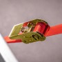 LAS Spanngurt mit Ratsche und S-Haken, rot, für sicheren Transport bis 250 kg.