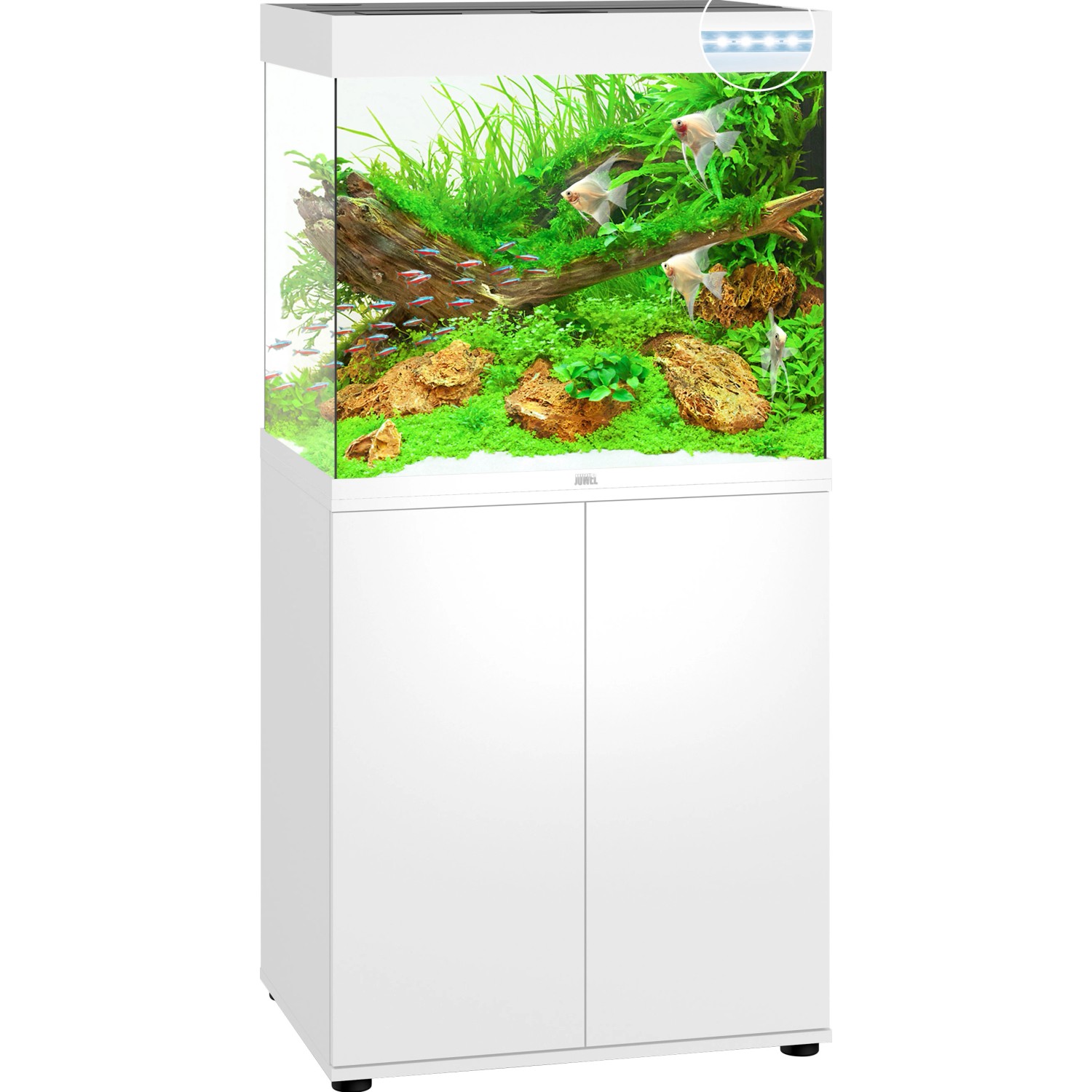 Aquarium erweitertes JUWEL Lido 200 online LED Kombination weiß