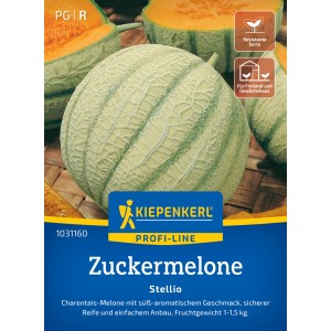 Kiepenkerl Zuckermelone Stellio F1-Hybride mit hellgrüner Schale und orangenem Fruchtfleisch.