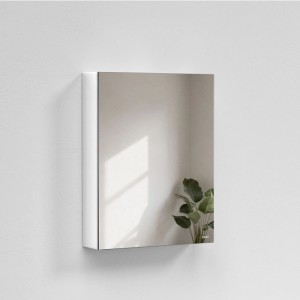 Weißer Emke Spiegelschrank 50x65cm mit 1 Tür, an weißer Wand montiert. Spiegelt Pflanze und Licht wider. Ideal für Badezimmer.