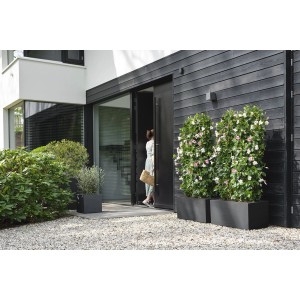 Elho Vivo Next Pflanztopf in Living Black mit Rollen vor modernem Haus.