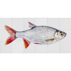 ESTAhome Wandtattoo Fisch in Grau und Rot, 97x48,5 cm. Dekorativer Wandaufkleber für Wohnräume.