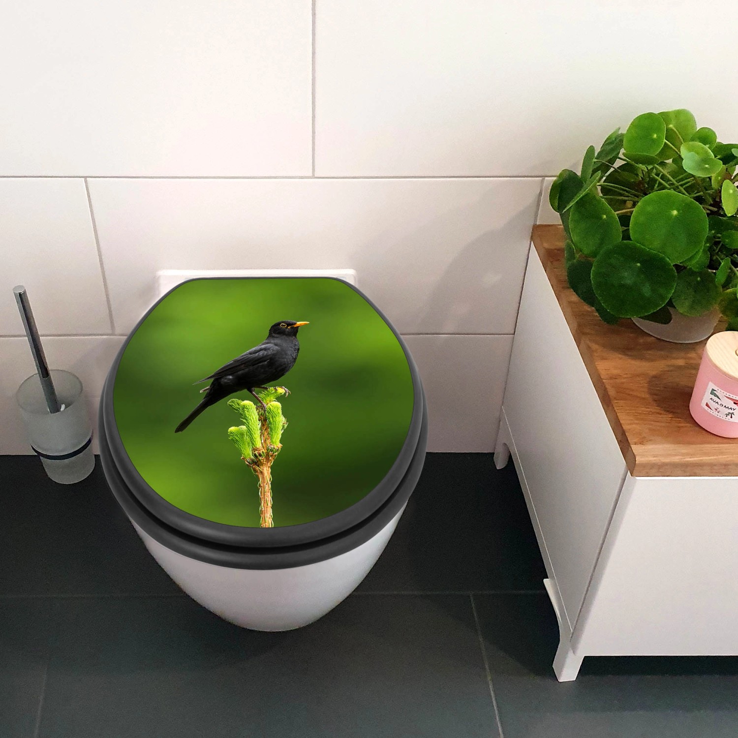 Anthrazit WC-Sitz mit Absenkautomatik und Vogelmotiv auf Tannenzweig.