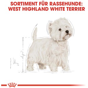 Royal Canin West Highland White Terrier Adult Trockenfutter für gesunde Haut und Zähne.