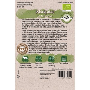 Samentüte Quedlinburger Bio-Pflücksalat Rot, dekorativer, roter Salat für Beet, Balkon und Hochbeet.